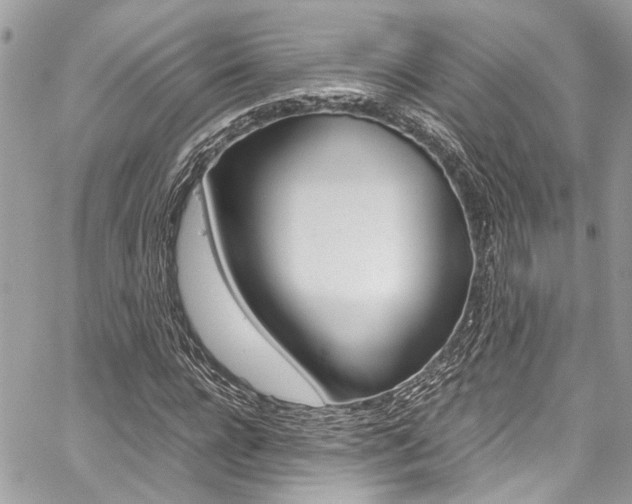 X0000059070920200510070901