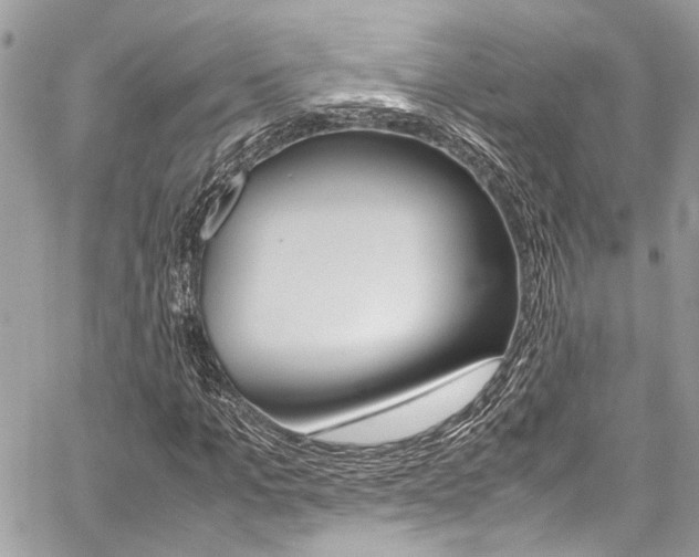 X0000059070965200510070901