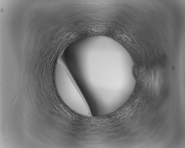 X0000059071009200510070900