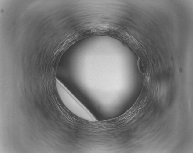 X0000059071012200510070900