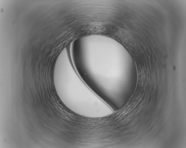 X0000059071058200510070900