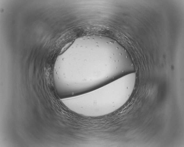 X0000059071059200510070859