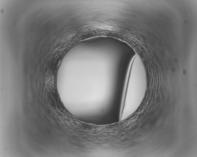 X0000059071061200510070859