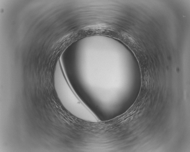 X0000059071062200510070859