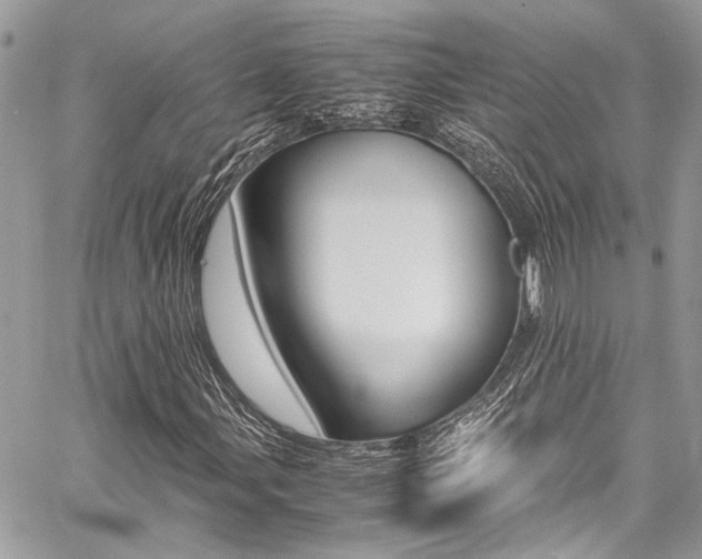 X0000059071107200510070858