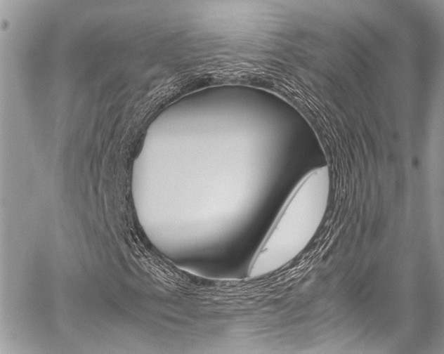 X0000059071153200510070858