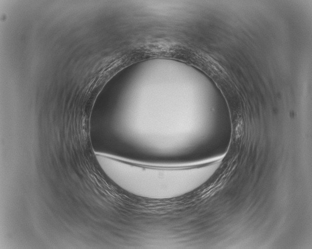 X0000059071156200510070858