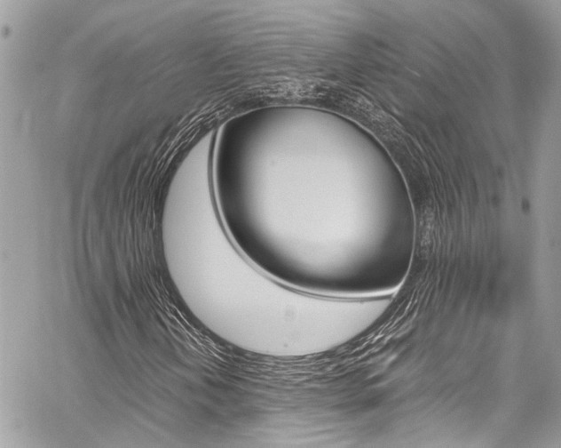 X0000059071202200510070856
