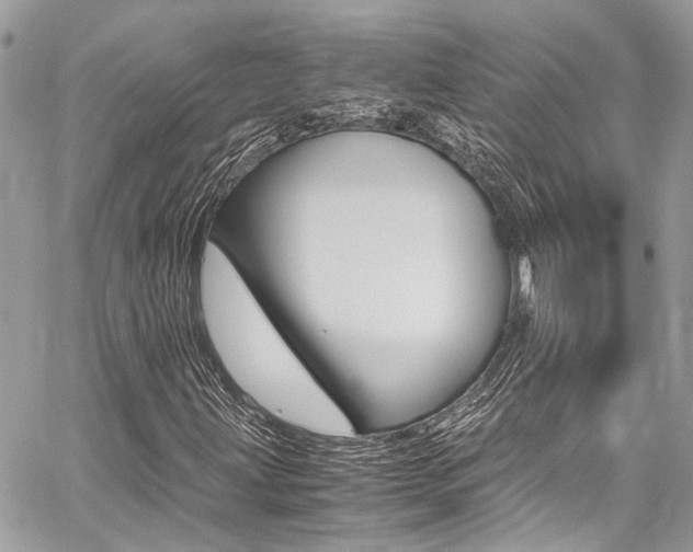 X0000059071203200510070856