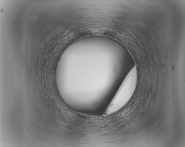 X0000059071249200510070856