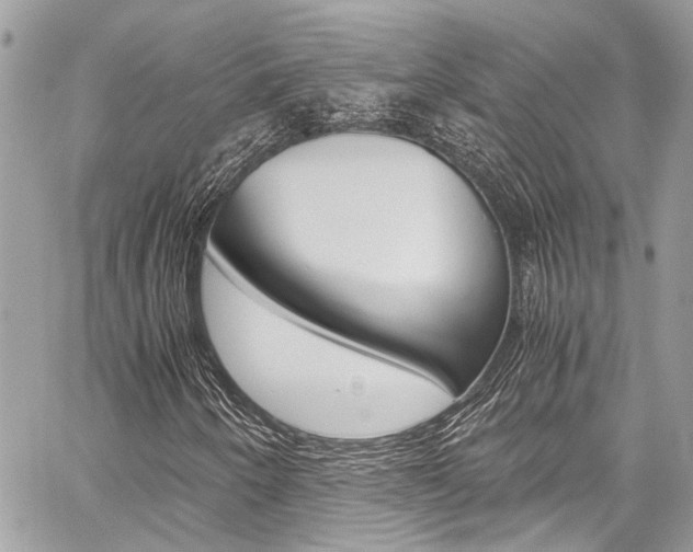 X0000059071250200510070856