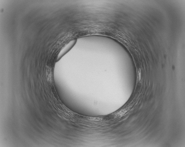 X0000059071251200510070856