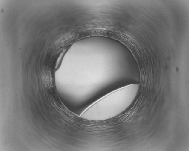 X0000059071252200510070856