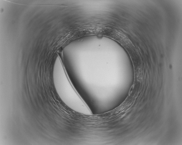 X0000059071298200510070855