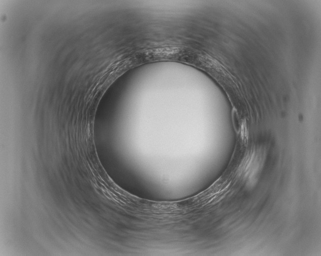 X0000059071299200510070855