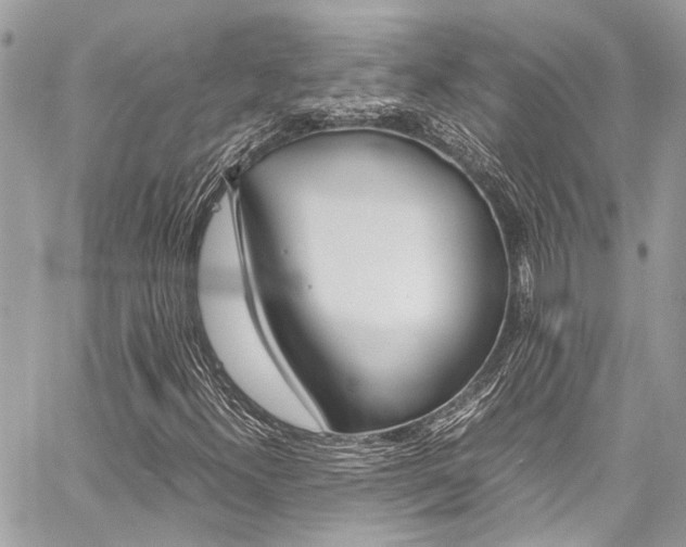 X0000059071300200510070855