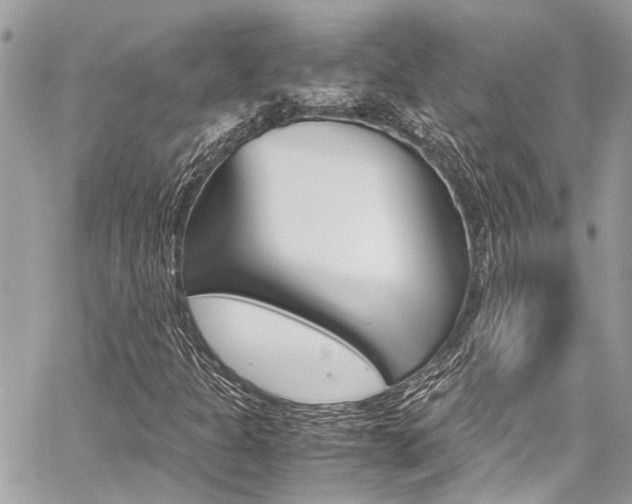 X0000059071301200510070855