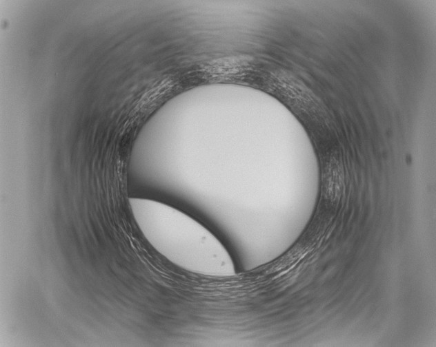 X0000059071346200510070855