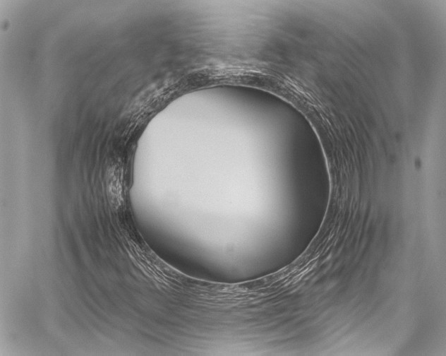 X0000059071348200510070855