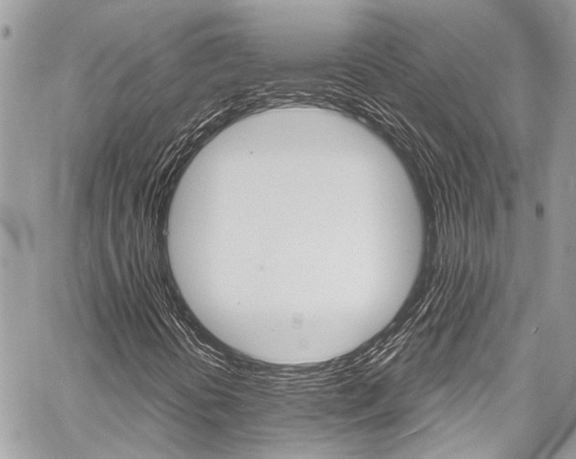 X0000059071394200510070853