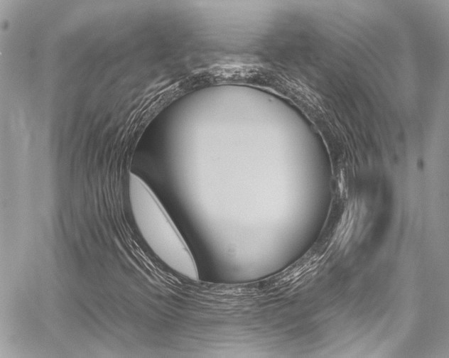 X0000059071396200510070853