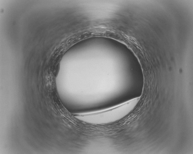 X0000059071445200510070853