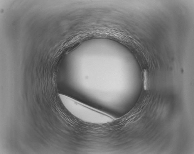 X0000059071491200510070852
