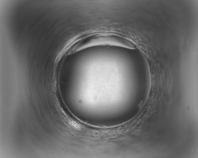 X0000059070005200510071121