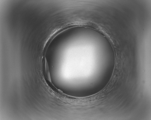 X0000059070011200510071121