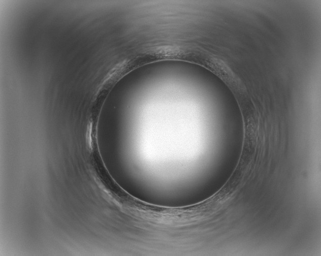 X0000059070024200510071121