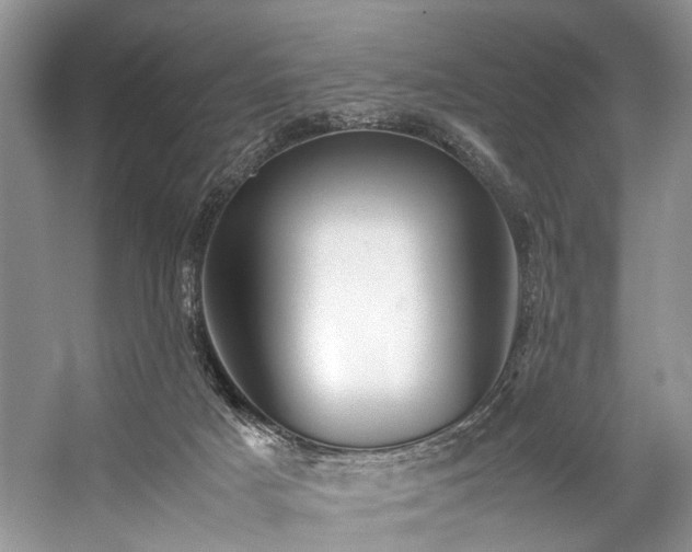 X0000059070025200510071121