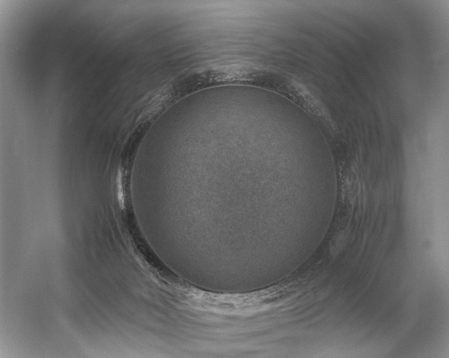 X0000059070026200510071121