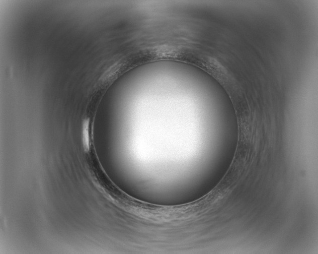 X0000059070028200510071121