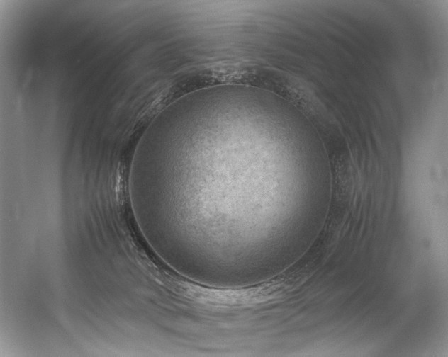 X0000059070034200510071121
