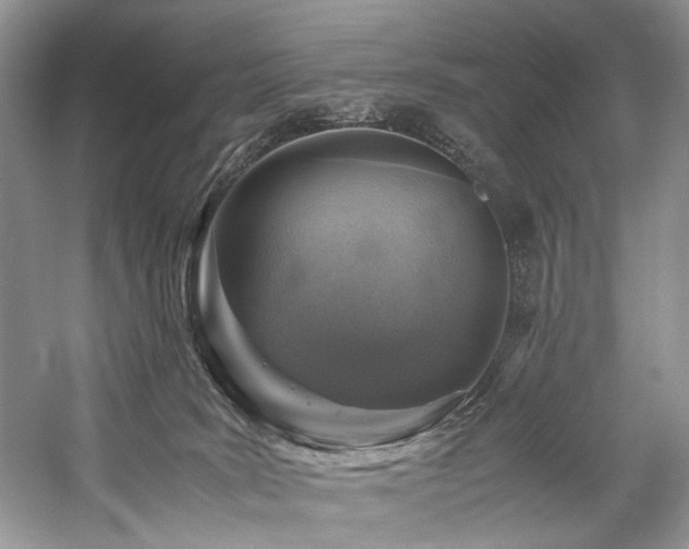 X0000059070035200510071121
