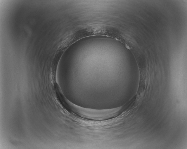X0000059070039200510071120