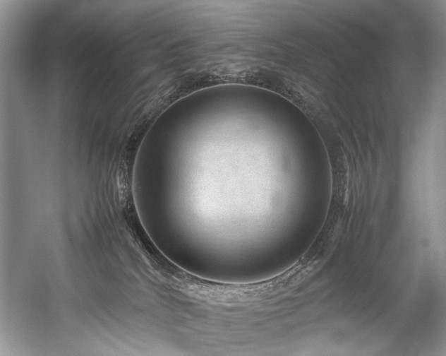 X0000059070040200510071120