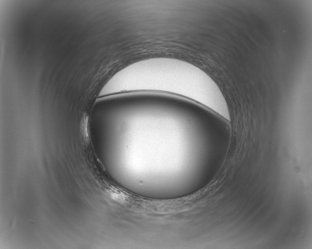 X0000059070041200510071120