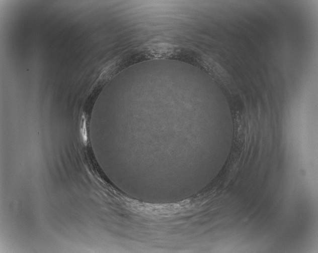 X0000059070042200510071120