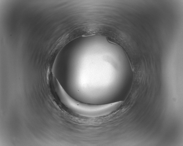 X0000059070044200510071120