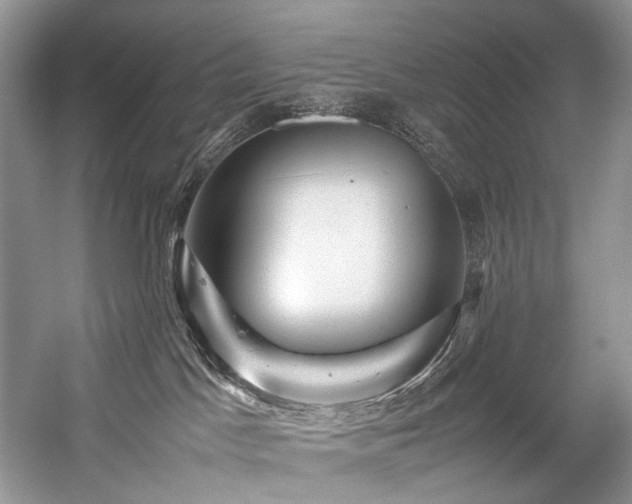 X0000059070045200510071120
