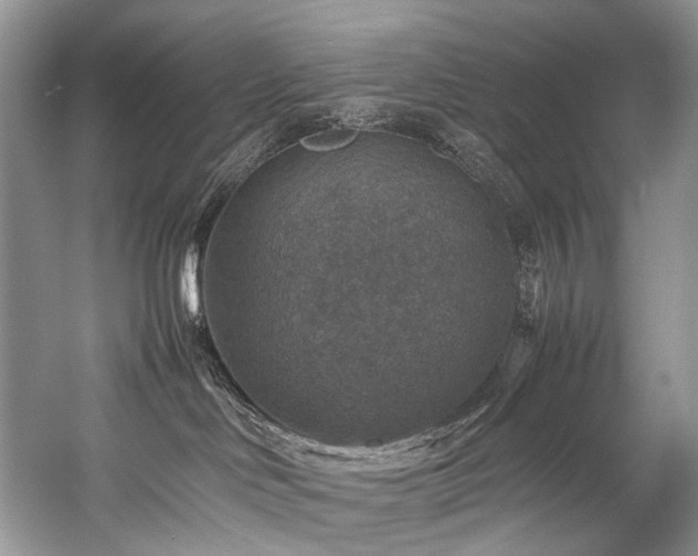 X0000059070046200510071120