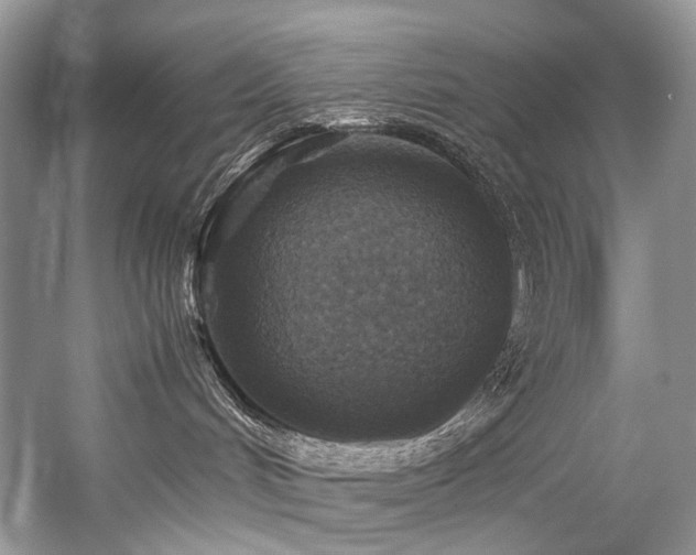 X0000059070048200510071120