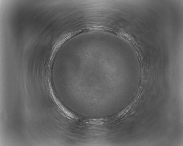 X0000059070049200510071120