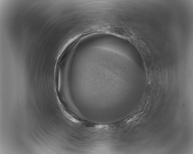 X0000059070052200510071120