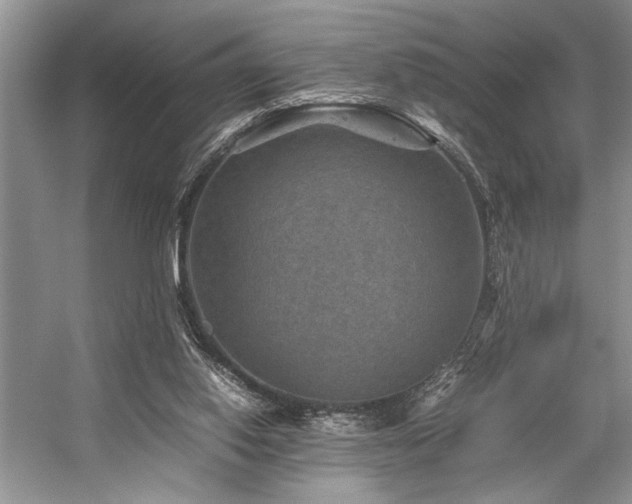 X0000059070062200510071120