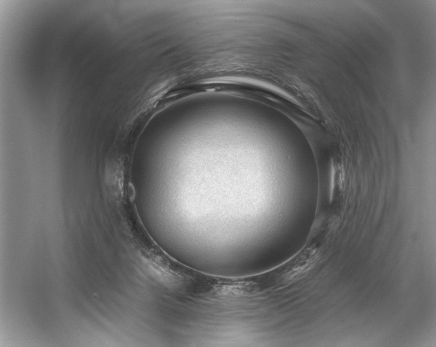 X0000059070072200510071120