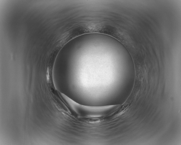 X0000059070075200510071120