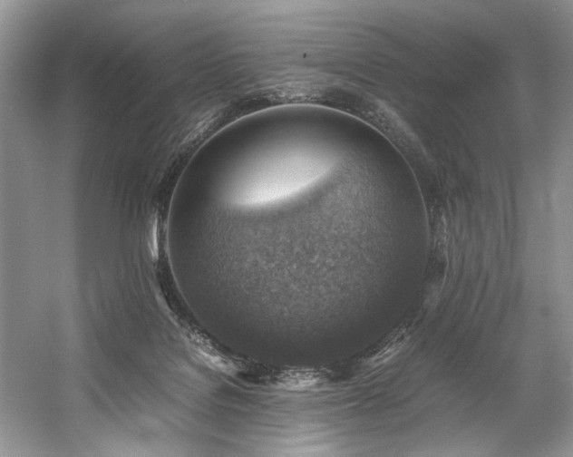 X0000059070076200510071120