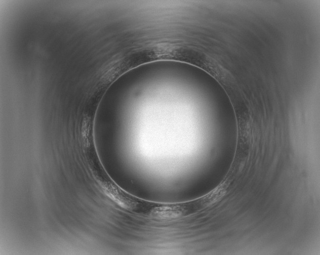 X0000059070082200510071120